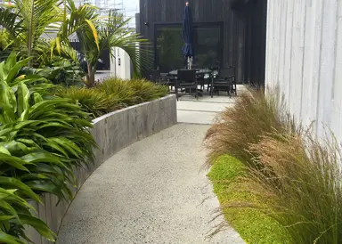 Design Ideas for a Stunning NZ Native Garden.