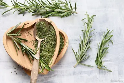 Is It Safe To Eat Fresh Rosemary Leaves?