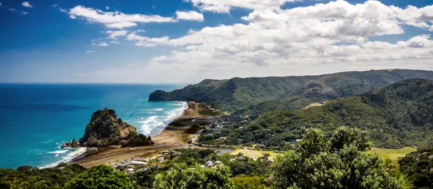 Can Ficus Tuffi Be Grown In Coastal Environments?