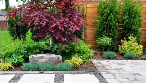 Landscaping With Bloodgood Maple.