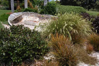 Planning Your NZ Native Garden.