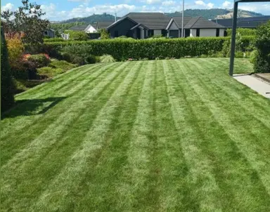 Preparing For A Fine Fescue Lawn.