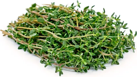 What Are Three Facts About Thyme?