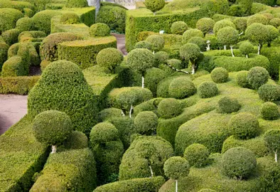 What Are Topiary Balls?