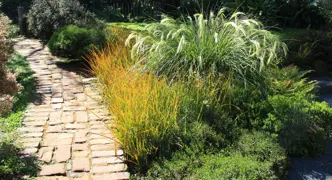 NZ Native Gardens.