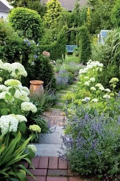 Mixed planting in a cottage garden path