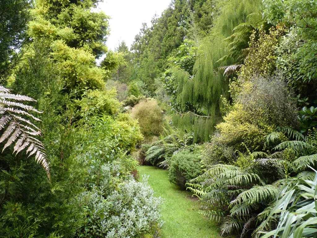 NZ natives in a large garden