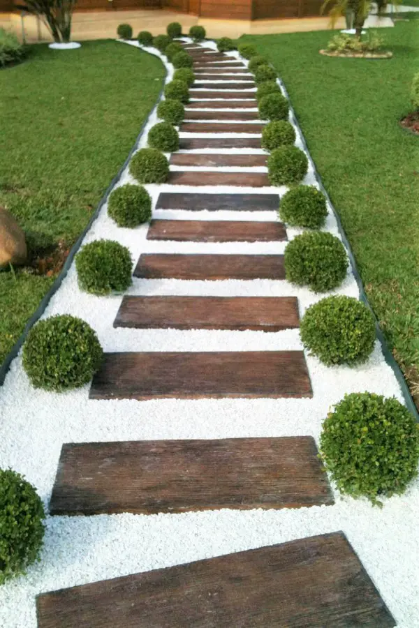 Topiary buxus lining a path
