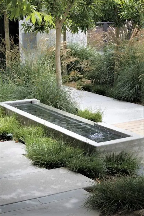 Water feature with grasses