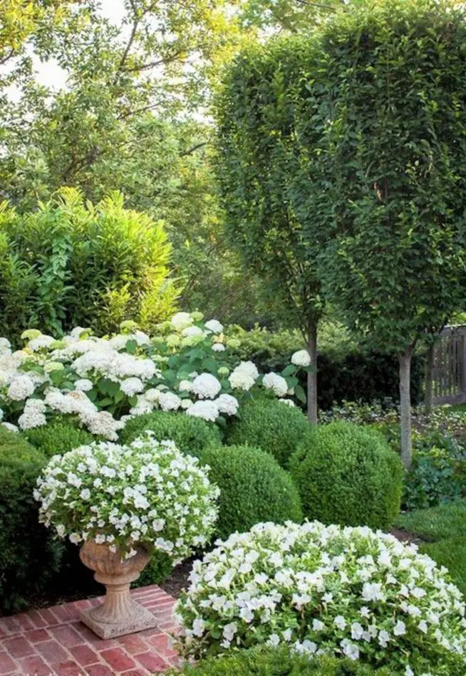 White garden with Petunias