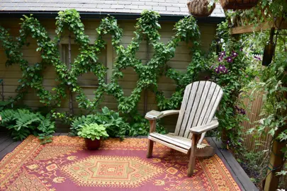 Espaliered dwarf pear