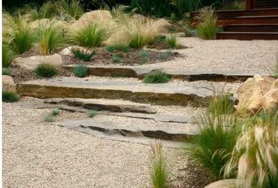 Simple coastal garden with grasses
