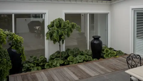 Simple courtyard garden