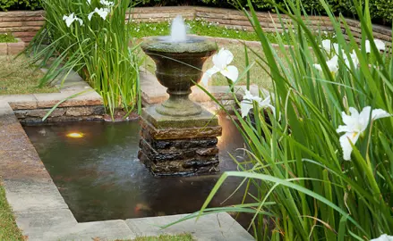 Water fountain with an Iris