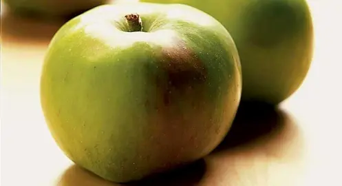 Apple Bramley's fruit on a table.