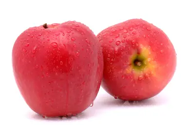 Apple Lady In Red fruit.