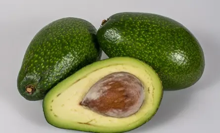 avocado-ettinger-