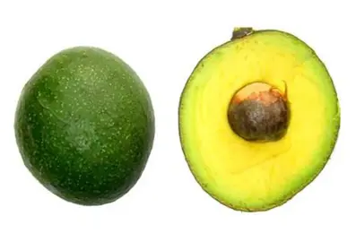 Avocado 'Hashimoto' fruit.