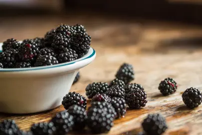 Blackberry Ben Nevis fruit.