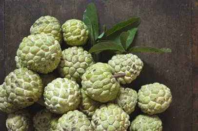 cherimoya-custard-apple-