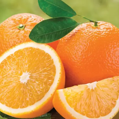 orange-parent-navel-