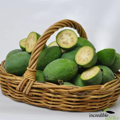 Feijoa Arhart fruit in a basket.