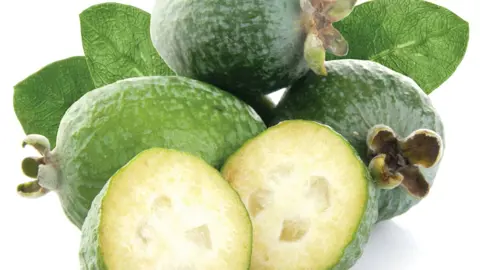 feijoa-pounamu-1