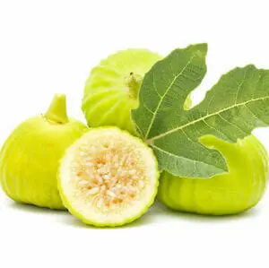 Fig Cape White fruit.