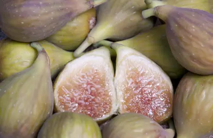 Fig Flanders brown fruit.