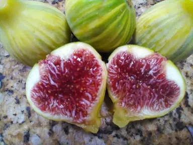 Fig Panache striped fruit with red flesh.