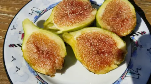 Fig San Pedro fruit.