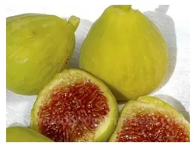 Fig White Adriatic fruit with green skin and red flesh.