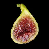 Fig Windleburn fruit.