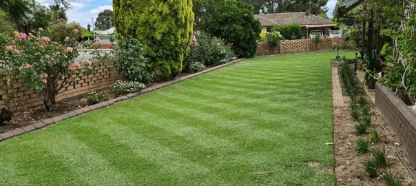 A Kikuyu grass lawn bordered by a garden.