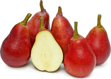 Pear Stark Crimson red fruit.