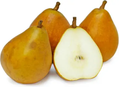 pear-taylors-gold-semi-dwarf-1