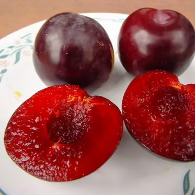 Plum 'MacVerna' fruit.