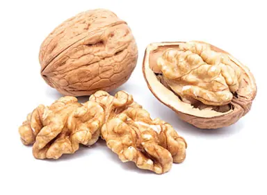 Walnut 'Serr' nuts.