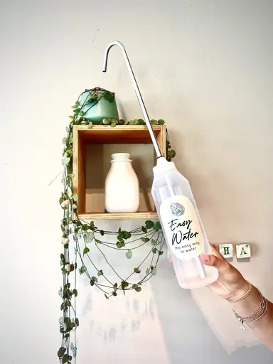 Plant watering bottle for watering a plant on a shelf.